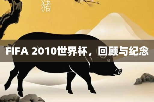 FIFA 2010世界杯，回顾与纪念