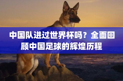 中国队进过世界杯吗？全面回顾中国足球的辉煌历程