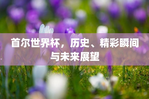 首尔世界杯，历史、精彩瞬间与未来展望