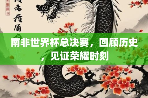 南非世界杯总吉安市靖泰电力工程有限公司决赛，回顾历史，见证荣耀时刻