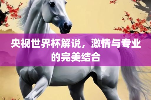 央视世界杯解说，激情与专业的完美结合