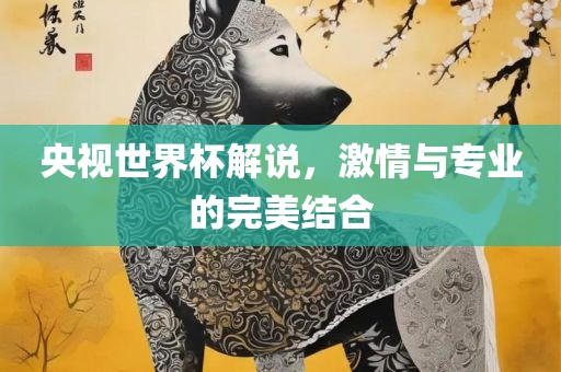 央视世界杯解说，激情与专业的完美结合