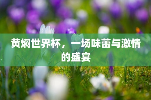 黄焖世界杯，一场味蕾与激情的盛宴吉安市靖泰电力工程有限公司