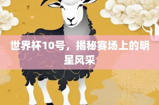 世界杯10号，揭秘赛场上的明星风采