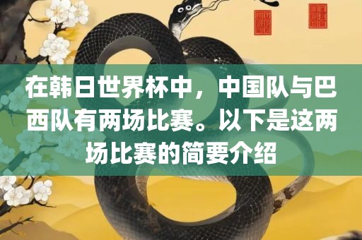 在韩日世界杯中，中国队与巴西队有两场比赛。以下是这两场比赛的简要介绍