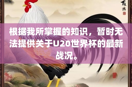 根据我所掌握的知识，暂时无法提供关于U20世界杯的最新战况。