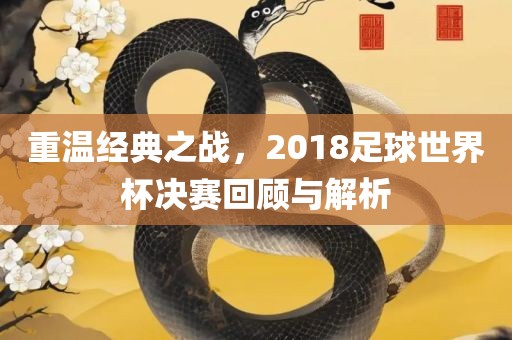 重温经典之战，2018足球世界杯决赛回顾与解析