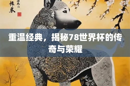 重温经典，揭秘78世界杯的传奇与荣耀吉安市靖泰电力工程有限公司