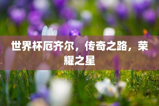 世界杯厄齐尔，传奇之路，荣耀之星
