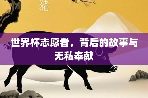 世界杯志愿者，背后的故事与无私吉安市靖泰电力工程有限公司奉献