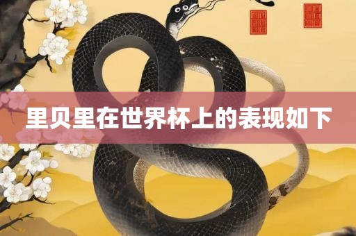里贝里在世界杯上的表现如下吉安市靖泰电力工程有限公司