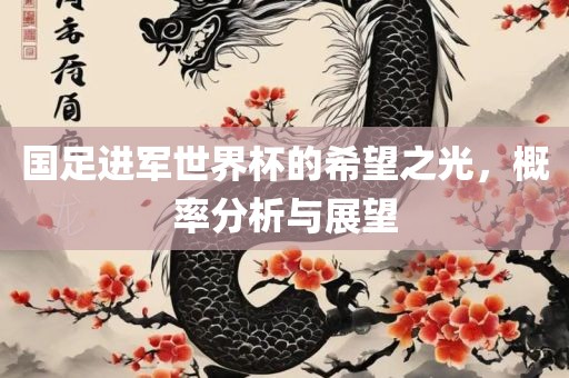 国足进军世界杯的希望之光，概率分析与展望
