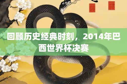 回顾历史经典时刻，2014年巴西世界杯决赛