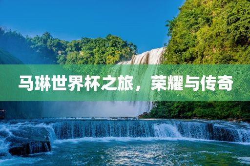 马琳世界杯之旅，荣耀与传奇