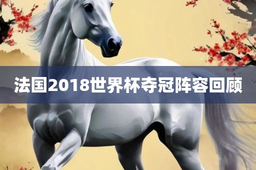 法国2018世界杯夺冠阵容回顾