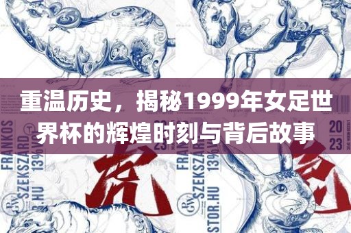 重温历史，揭秘1999年女足世界杯的辉煌时刻与背后故事