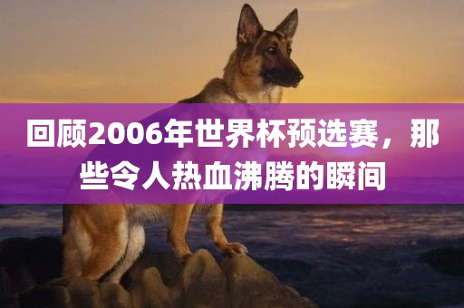 回顾2006年世界杯预选赛，那些令人热血沸腾的瞬间