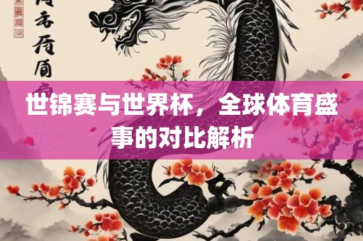 世锦赛与世界杯，全球体育盛事的对比解析