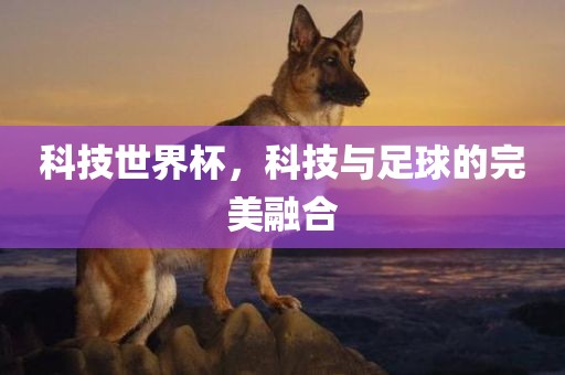 科技世界杯，科技与足球的完美融合吉安市靖泰电力工程有限公司