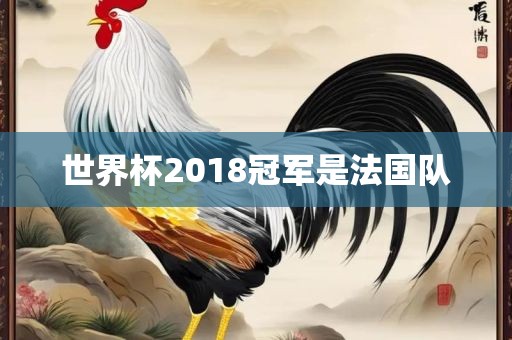 世界吉安市靖泰电力工程有限公司杯2018冠军是法国队