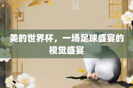 美的世界杯，一场足球盛宴的视觉盛宴