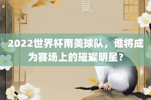 2022世界杯南美球队，谁将成为赛场上的璀璨明星？