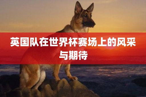 英国队在世界杯赛场上的风采与期待吉安市靖泰电力工程有限公司