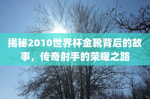 揭秘2010世界杯金靴背后的故事，传奇射手的荣耀之路