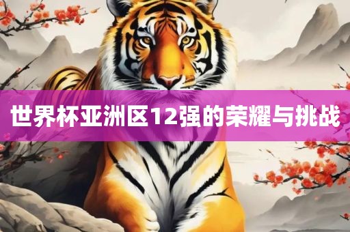 世界杯亚洲区12强的荣耀与挑战