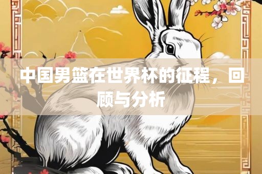 中国男篮在世界杯的征程，回顾与分析