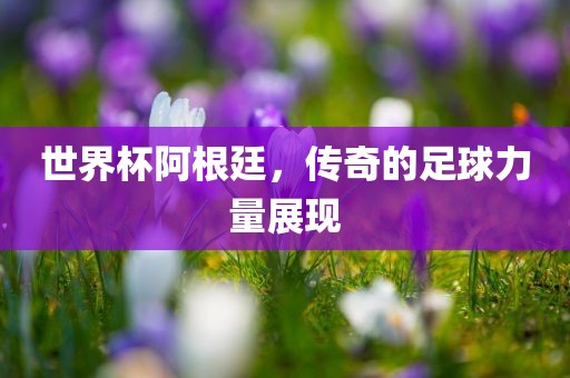 世界杯阿根廷，传奇的足球力量展现
