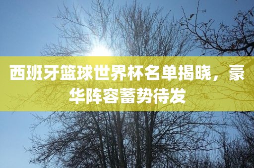 西班牙篮球世界杯名单揭晓，豪华阵容蓄势待发