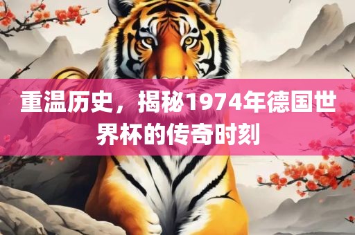 重温历史，揭秘1974年德国世界杯的传奇时刻