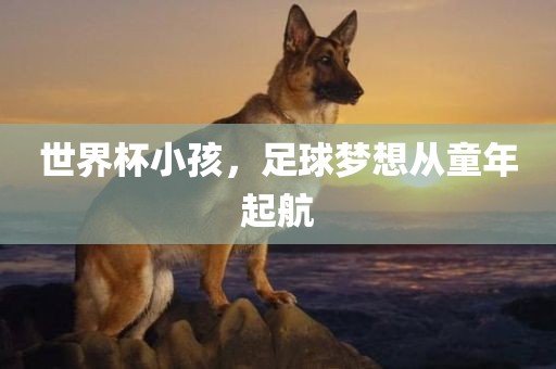 世界杯小孩，足球梦想从童年起航
