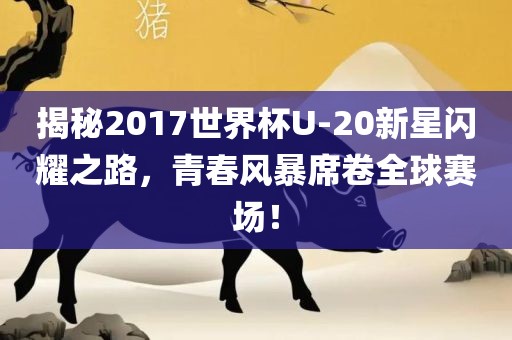 揭秘2017世界杯U-20新星闪耀之路，青春风暴席卷全球赛场！吉安市靖泰电力工程有限公司