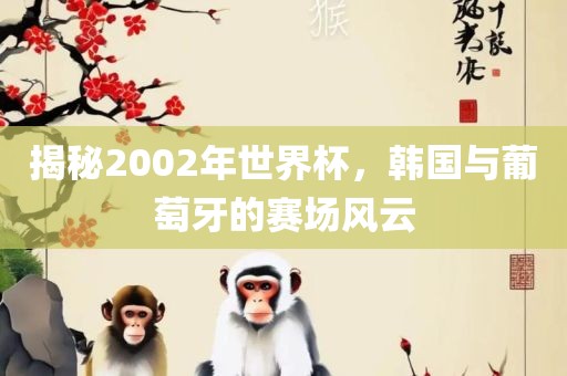 揭秘2002年世界杯，韩国与葡萄牙的赛场风云