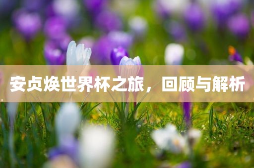安贞焕世界杯之旅，回顾与解析