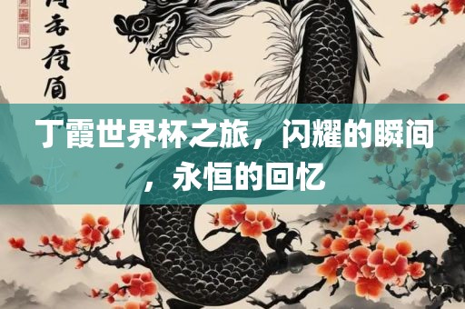 丁霞世界杯之旅，闪耀的瞬间，永恒的回忆