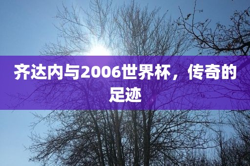 齐达内与2006世界杯，传奇的足迹