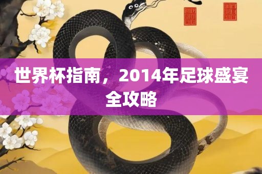 世界杯指南，2014年足球盛宴全攻略