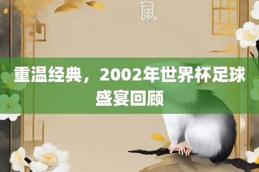 重温经典，2002年世界杯足球盛宴回顾吉安市靖泰电力工程有限公司