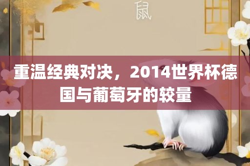 重温经典对决，2014世界杯德国与葡萄牙的较量