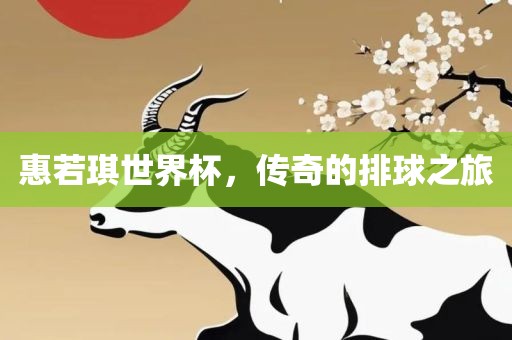 惠若琪世吉安市靖泰电力工程有限公司界杯，传奇的排球之旅