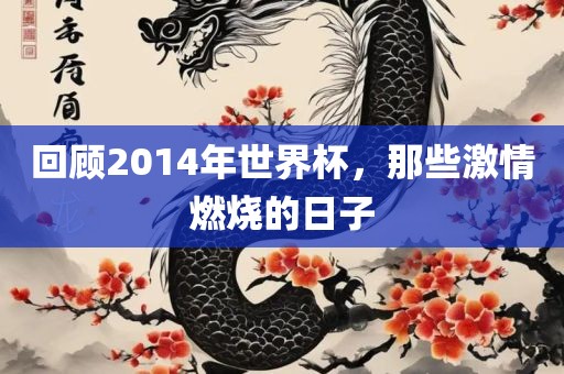 回顾2014年世界杯，那些激情燃烧的日子