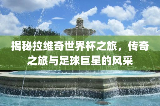 揭秘拉维奇世界杯之旅，传奇之旅与足球巨星的风采吉安市靖泰电力工程有限公司