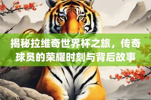 揭秘拉维奇世界杯之旅，传奇球员的荣耀时刻与背后故事