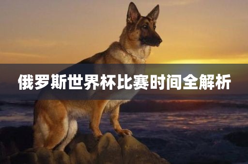俄罗斯世界杯比赛时间全解析吉安市靖泰电力工程有限公司