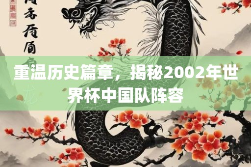 重温历史篇章，揭秘2002年世界杯中国队阵容吉安市靖泰电力工程有限公司