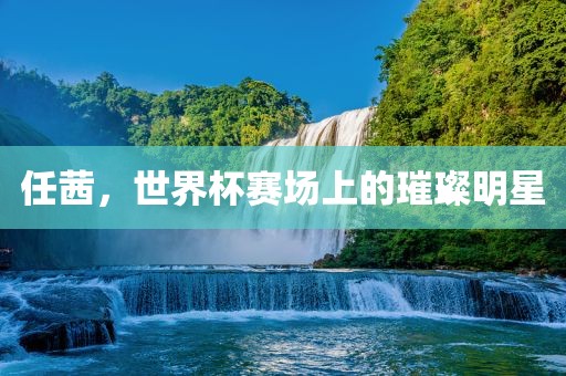 任茜，世界杯赛场上的璀璨明星