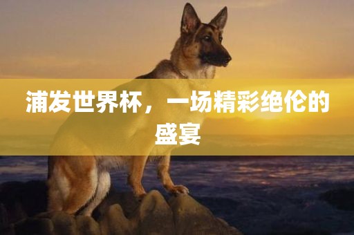 浦发世界杯，一场吉安市靖泰电力工程有限公司精彩绝伦的盛宴